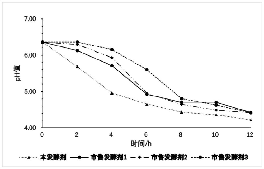 Lyoprotectant, fermentation agent, preparation method and application thereof