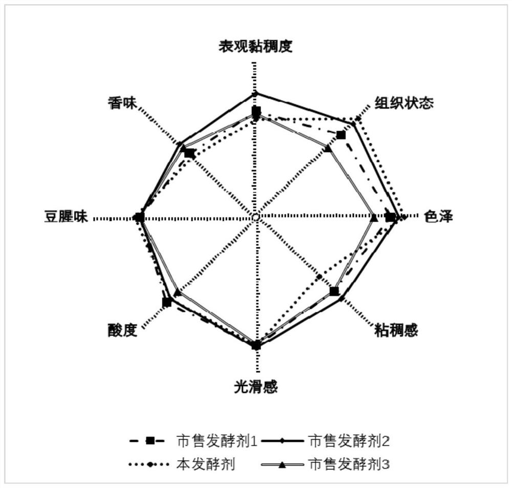 Lyoprotectant, fermentation agent, preparation method and application thereof