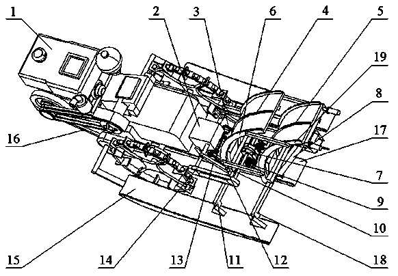 Male parent special rice transplanting machine for use in hybrid rice seed production and method of machine