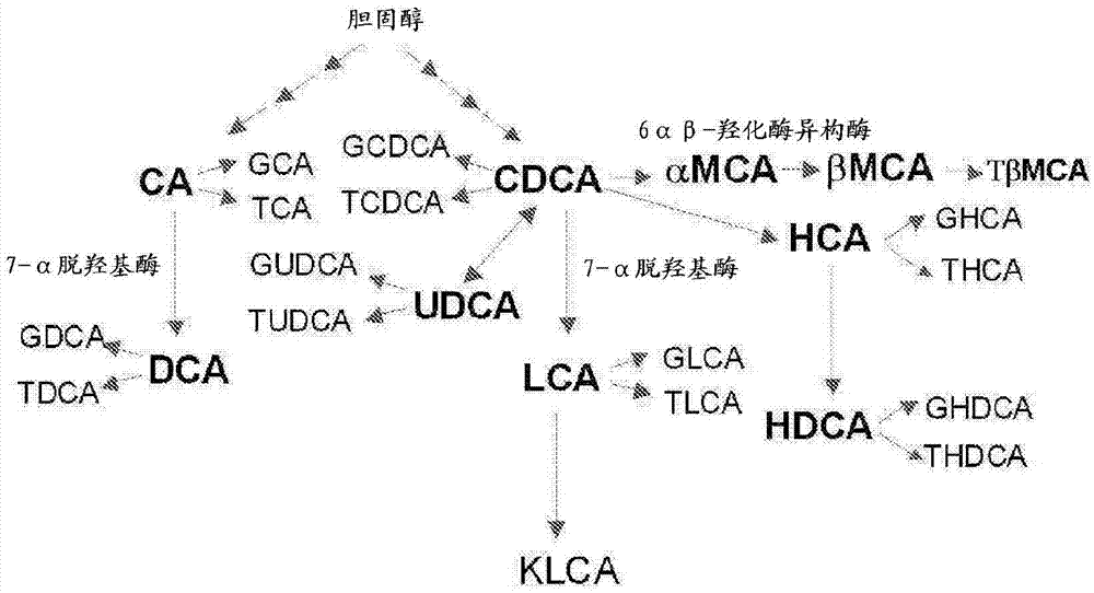 Method for investigation of liver damage type