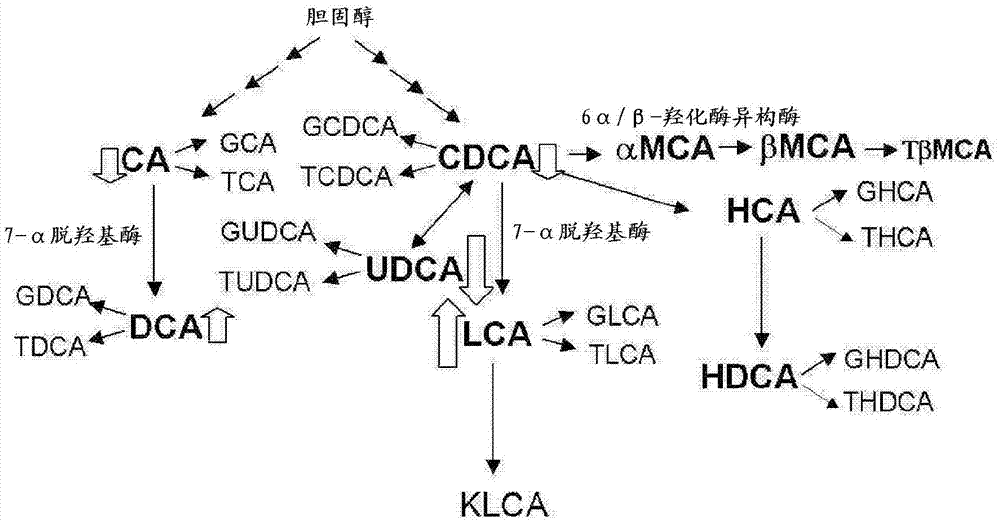 Method for investigation of liver damage type