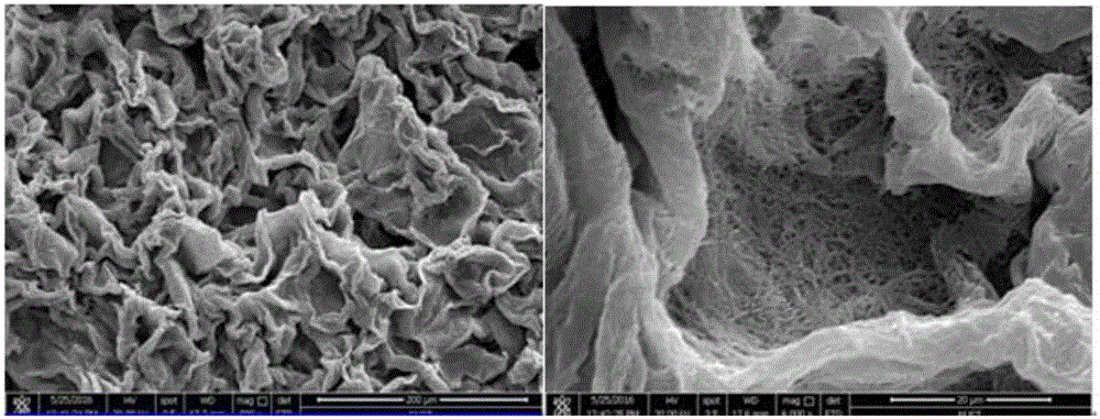 Supramolecular gelator of gemini type structure and preparation method of supramolecular gelator