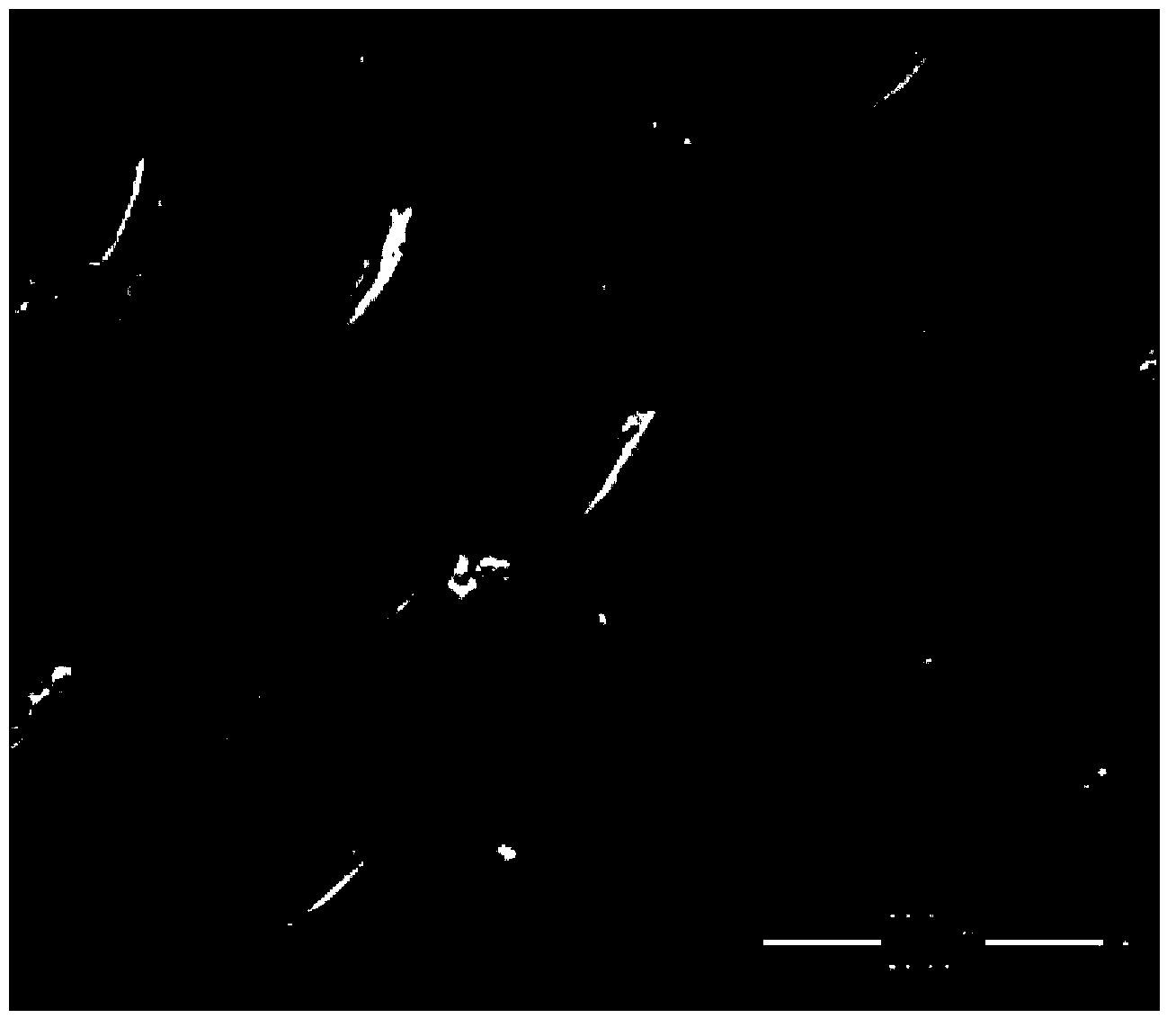 Preparation method of wood-organic-inorganic hybridized nano composite material based on doped nano POSS (Polyhedral Oligomeric Silsesquioxane)