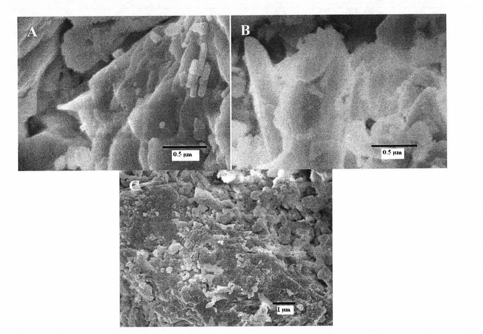 Preparation method of inorganic-organic compound-type adsorbent based on clinoptilolite and application for removing Cr(VI) in industrial waste water