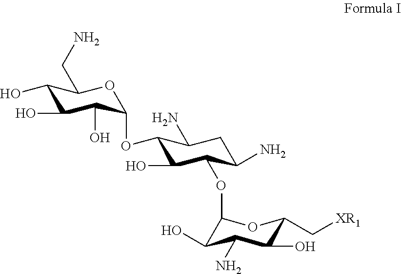 Aminoglycosides: synthesis and use as antifungals