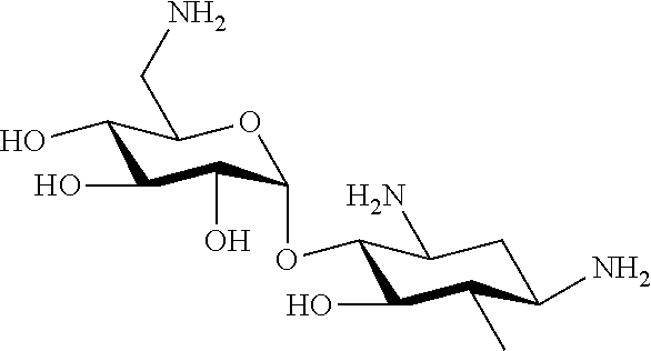 Aminoglycosides: synthesis and use as antifungals