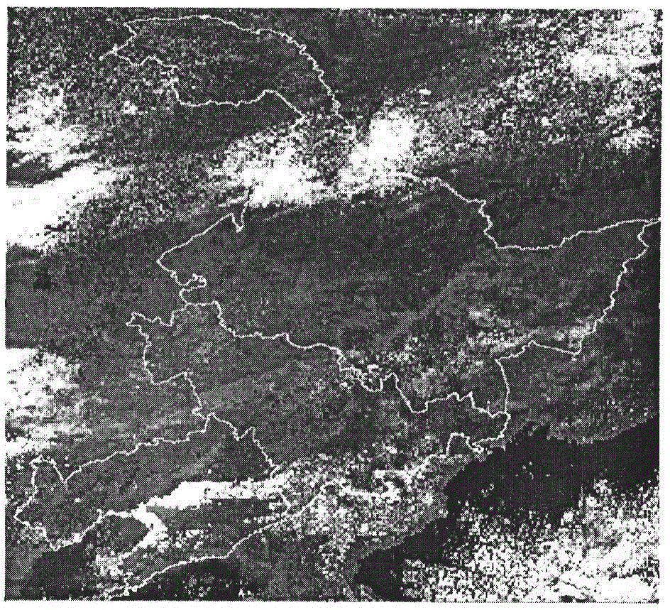 Microwave remote sensing pixel element decomposing method based on land and water living beings classifying information