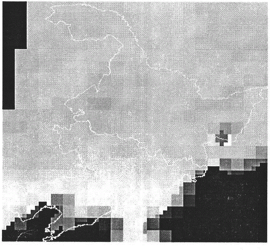 Microwave remote sensing pixel element decomposing method based on land and water living beings classifying information