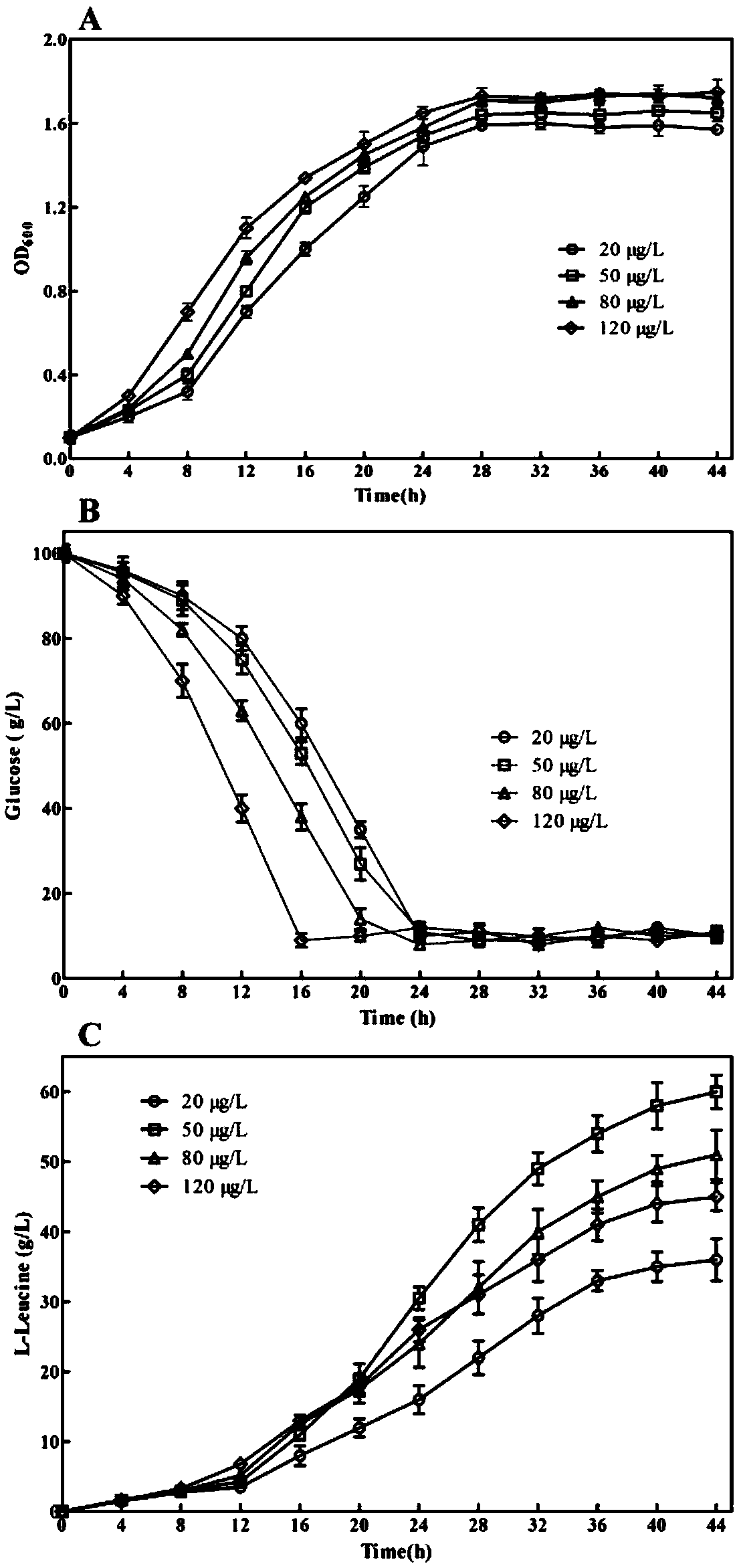 Method for increasing fermentation yield of L-leucine