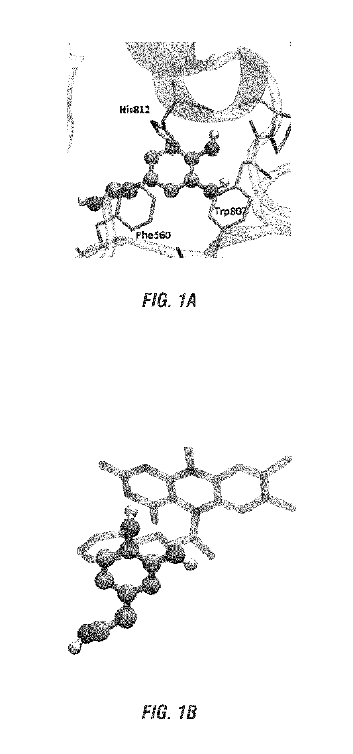 Hydroxytyrosol and oleuropein compositions for induction of DNA damage, cell death and lsd1 inhibition