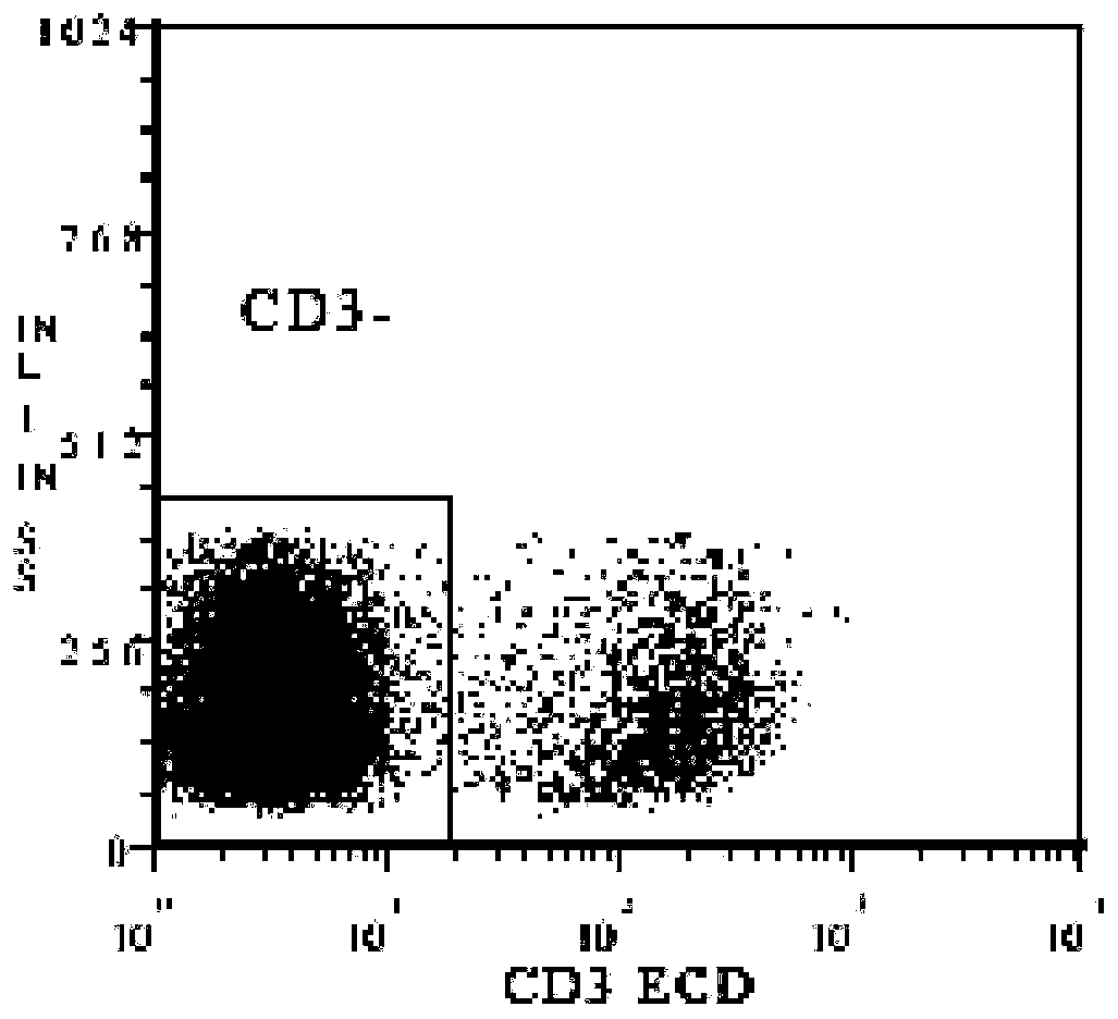 A kind of car-nk cell and its preparation method and application