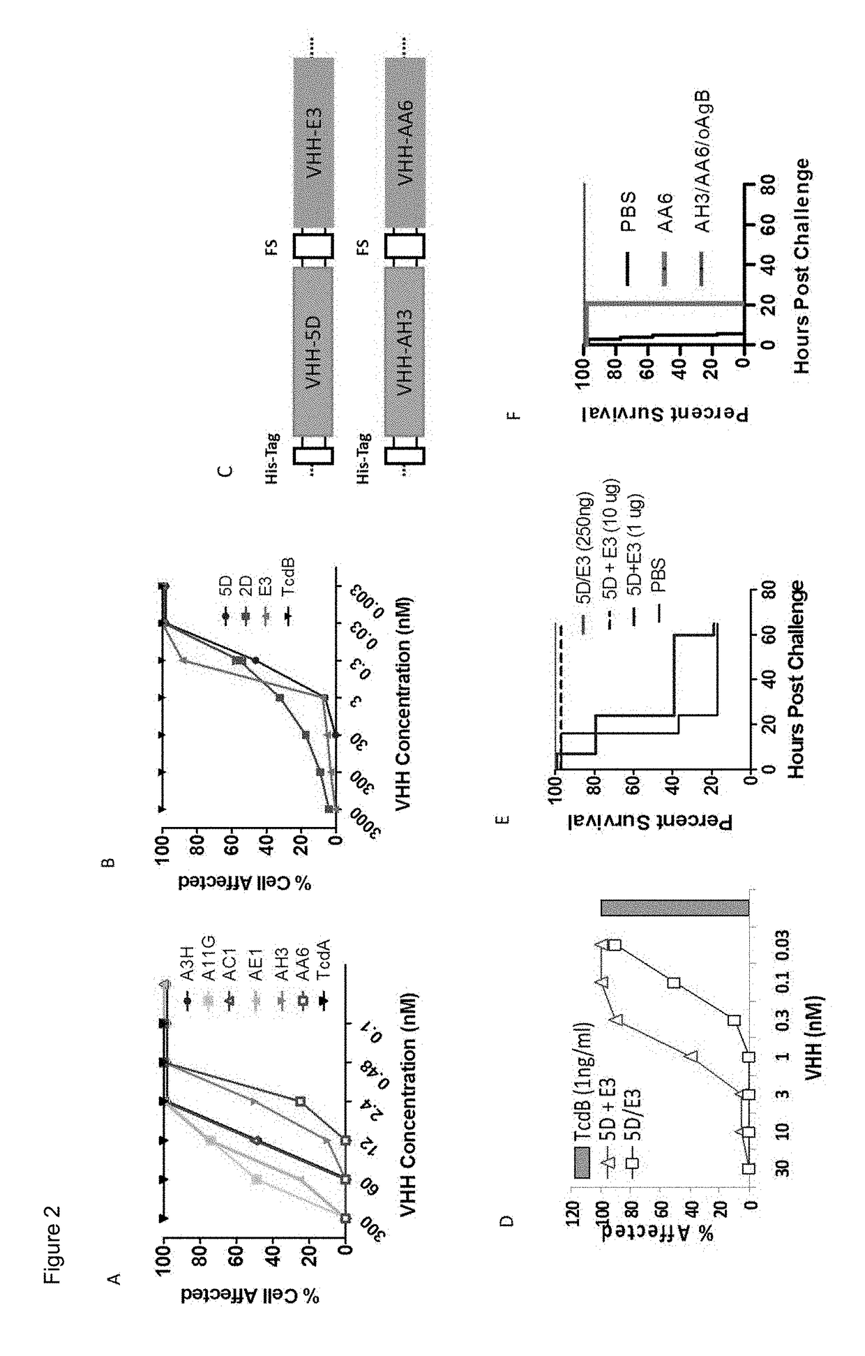 Tetra-specific, octameric binding agents and antibodies against clostridium difficile toxin a and toxin b for treatment of c. difficile infection