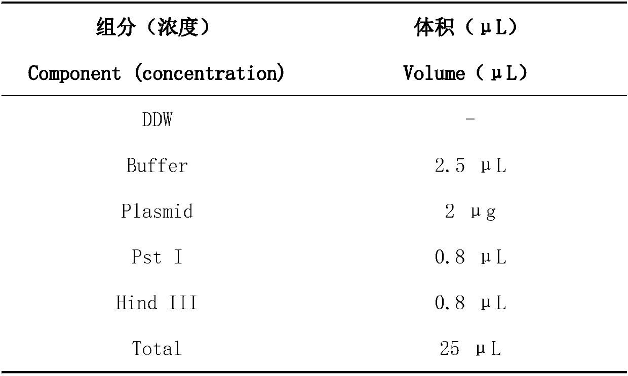 Construction of Lactobacillus crispatus BT1386 and application in treatment of bacterial vaginosis