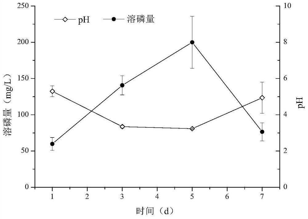 A kind of multifunctional potassium decomposing bacteria and its application