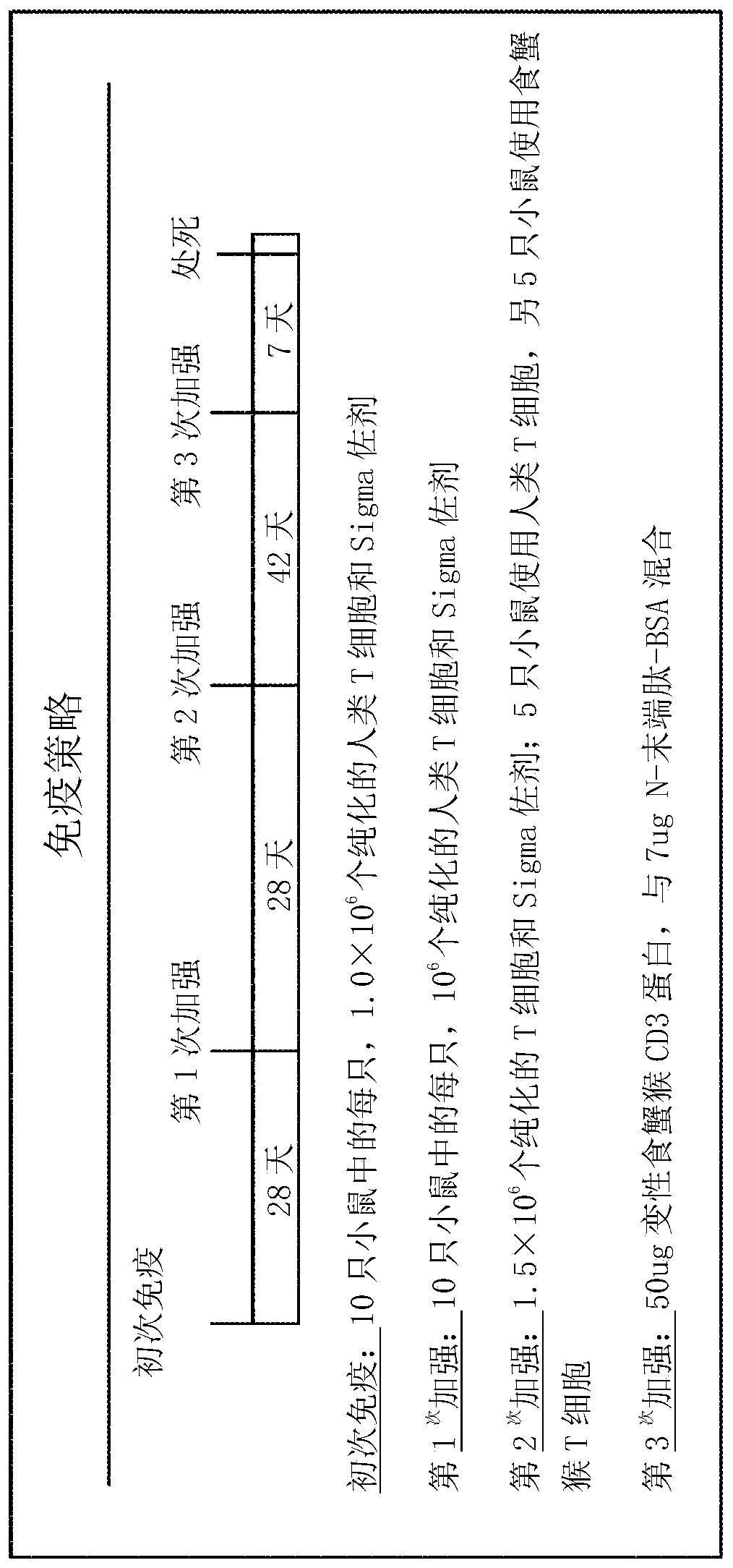 Anti-cd3-binding domains and antibodies comprising them, and methods for their generation and use