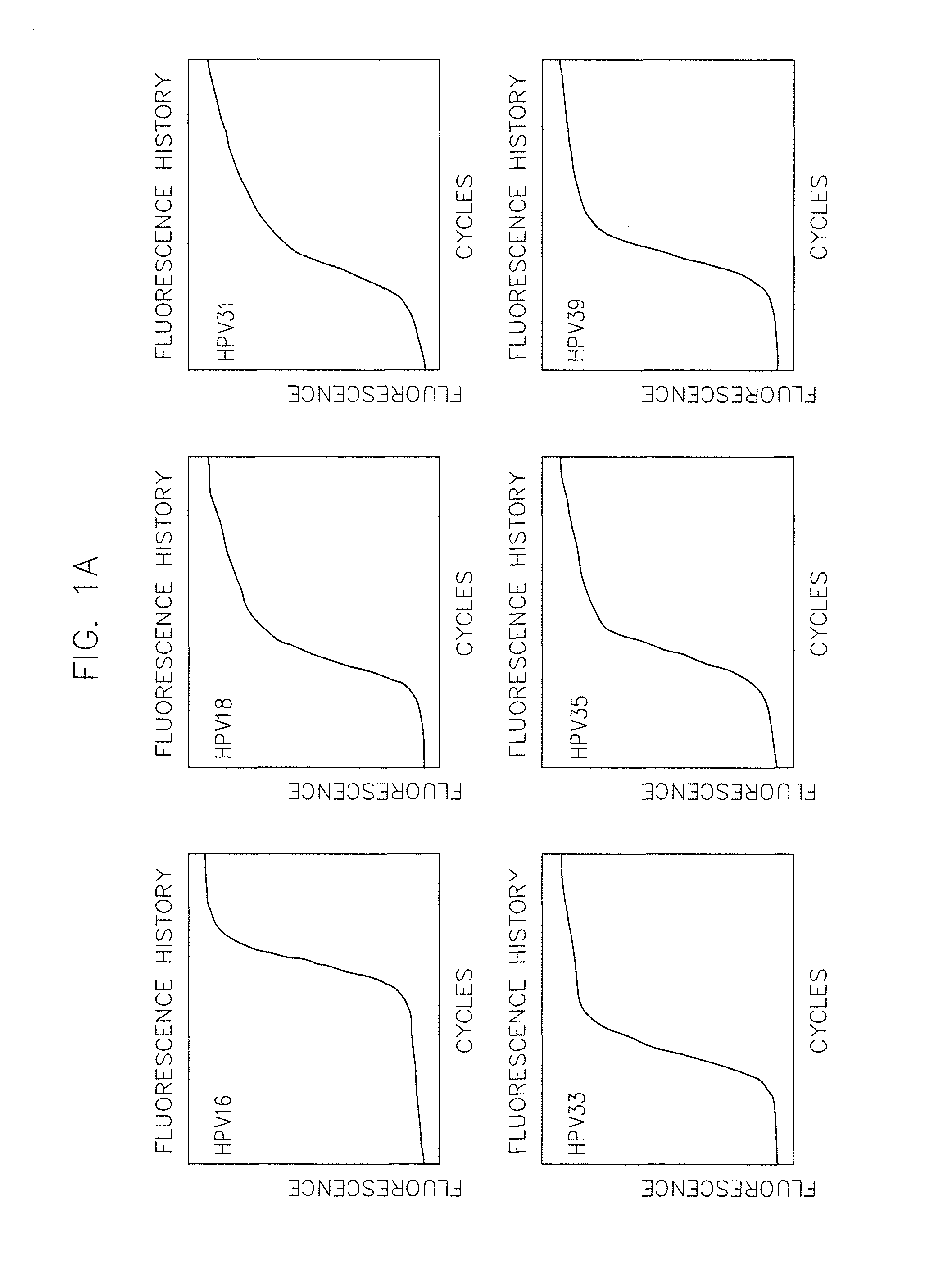 Method of simultaneous detection and typing of human papilloma viruses