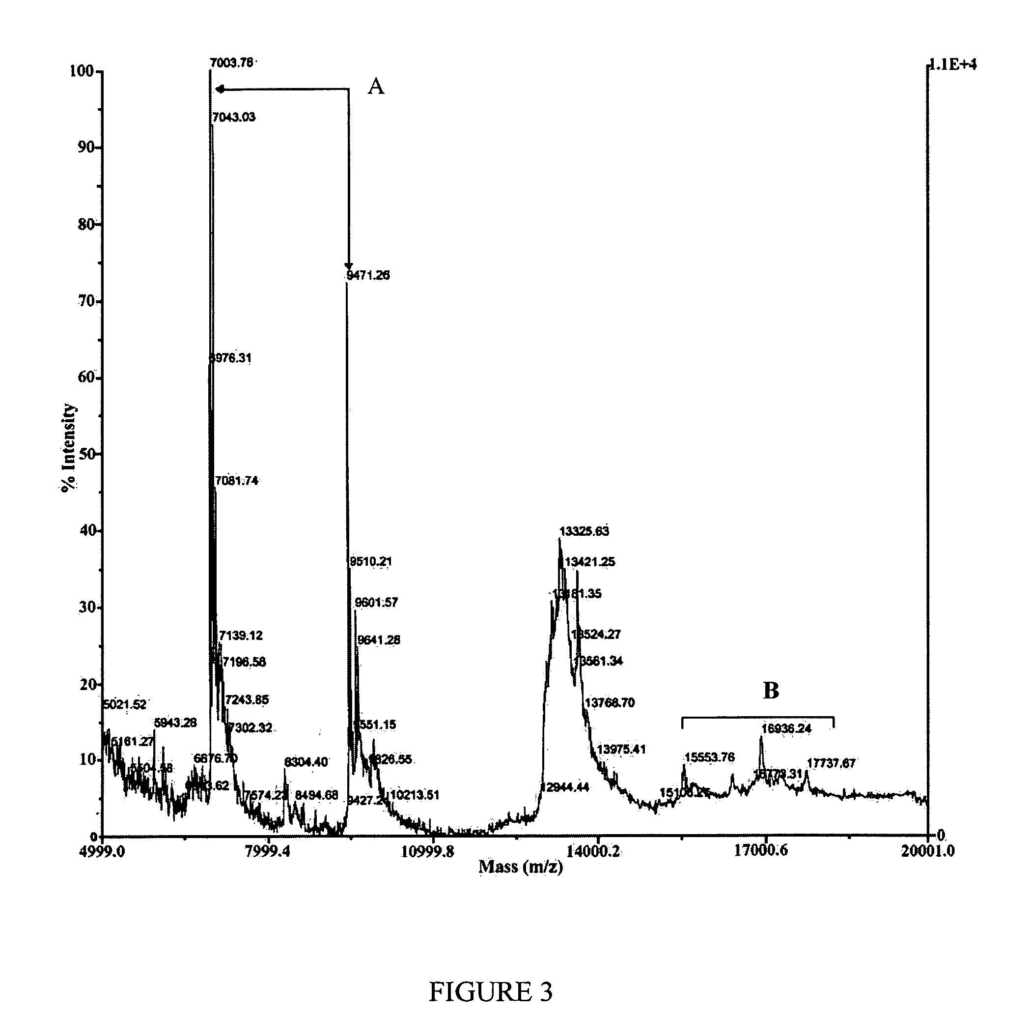 Method for the detection of proteins of animal origin in complex mixtures