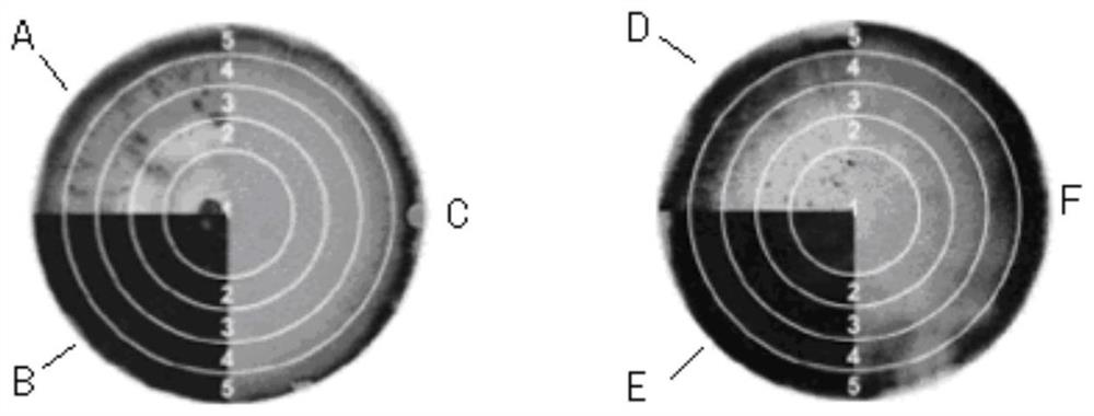 A kind of aspergillus niger bacterial strain that can be used for protein production and application thereof