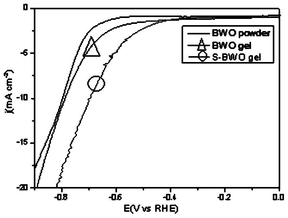 Preparation method and application of bismuth tungstate-graphene-conductive hydrogel