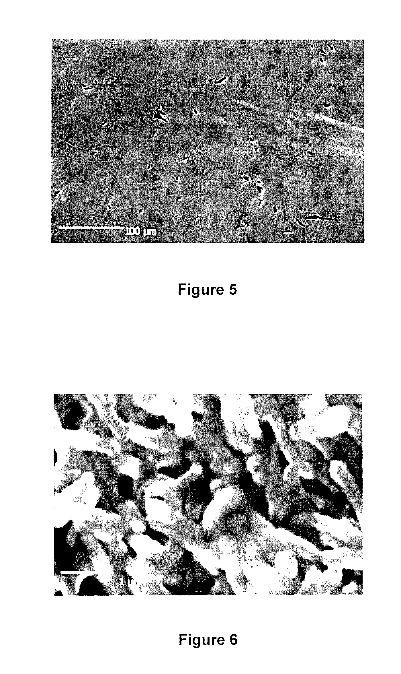 Bioreactor for the in situ study of microbial biofilms inducing corrosion on metal surfaces