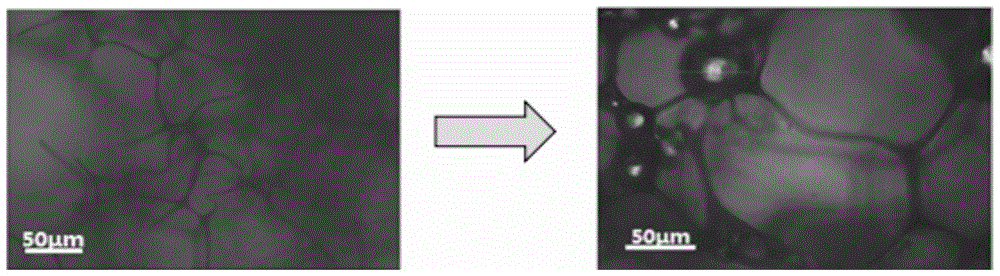 A kind of preparation method of modified nano cotton oil-absorbing material