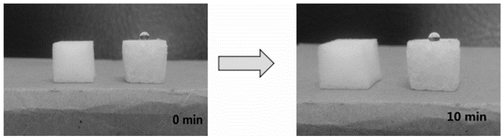 A kind of preparation method of modified nano cotton oil-absorbing material