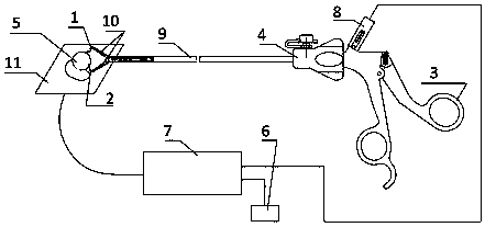 Thermocoagulation grasping clamp for preventing tumor disseminating metastasis