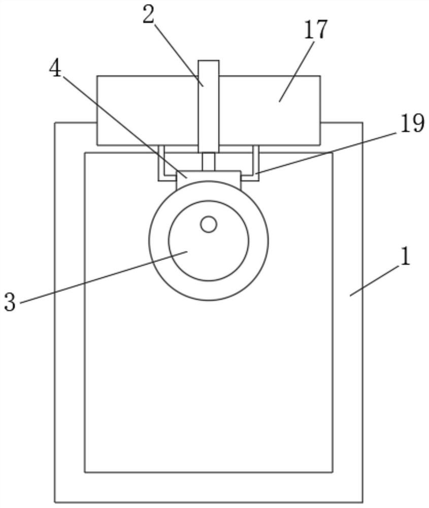 A feed feeding device for domestic pig breeding with a wide feeding range