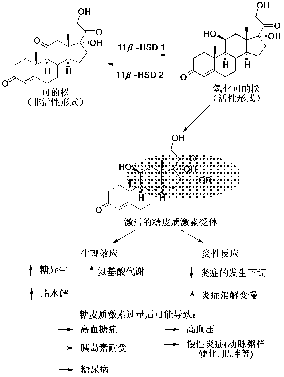Tanshinone derivatives, medicine compositions thereof, and purposes thereof in medicine
