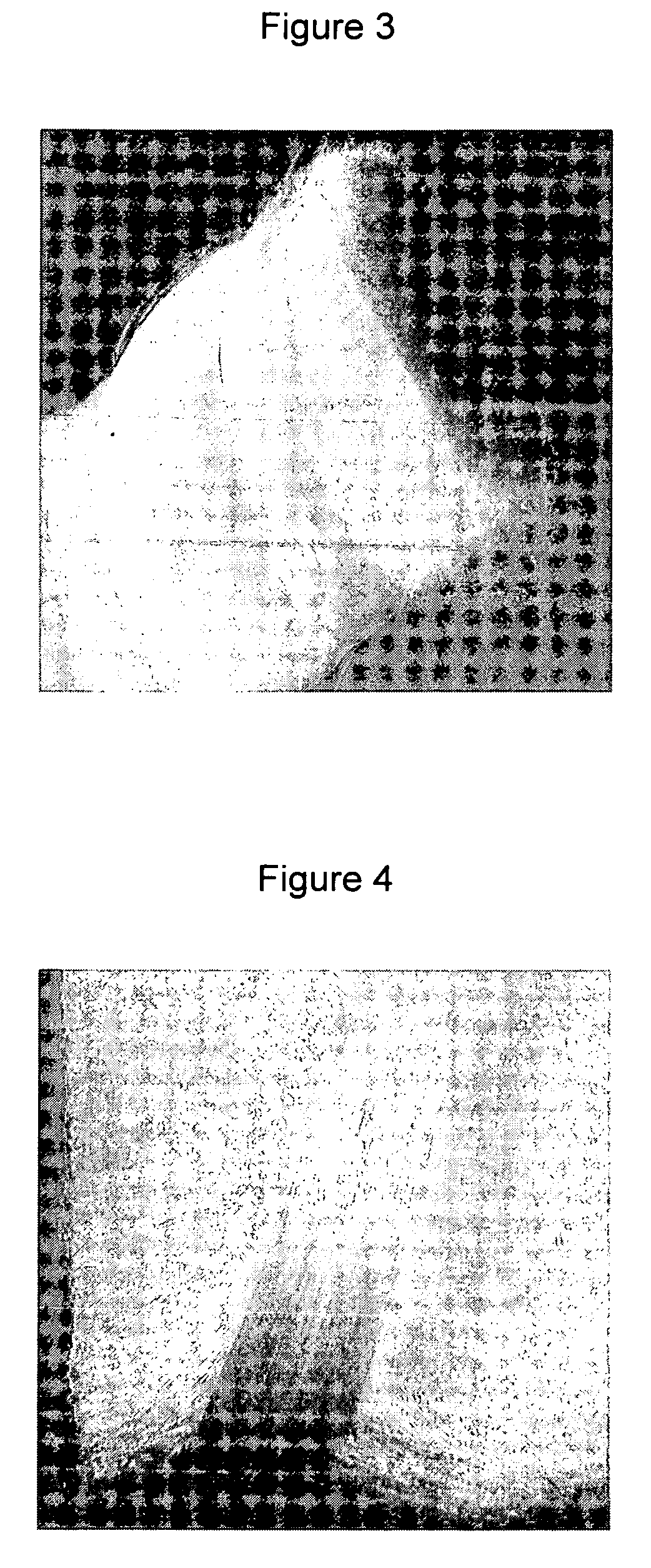 Unitized fibrous concrete reinforcement