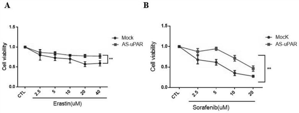 Method for enhancing sensitivity of tumors to drug