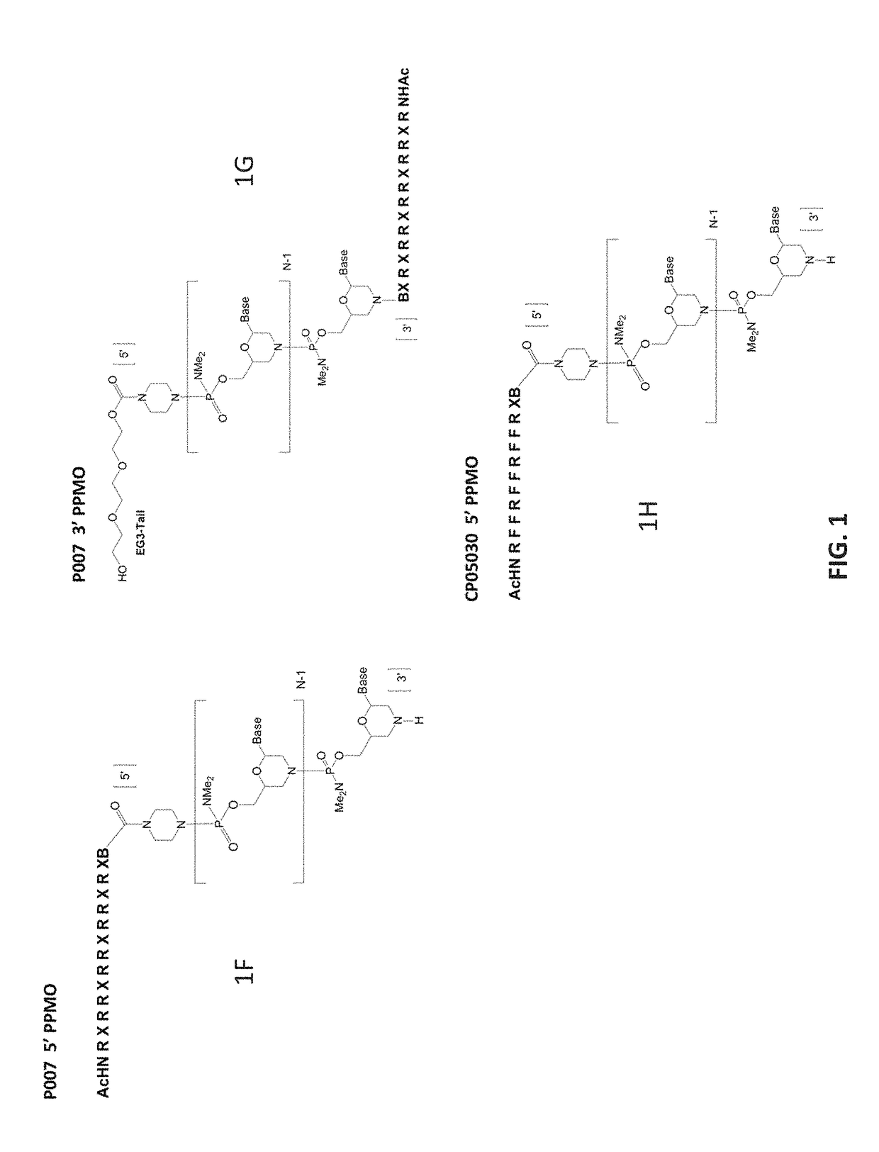 Antisense antibacterial compounds and methods