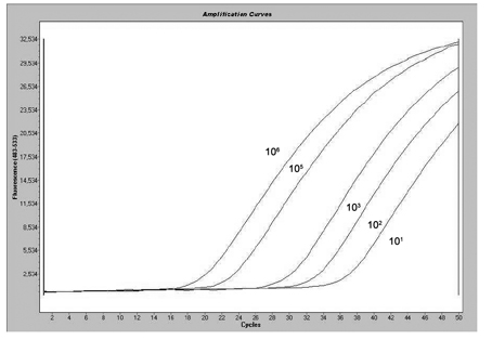 Real-time fluorescence quantitative PCR method for detecting NPM1 genic mutation