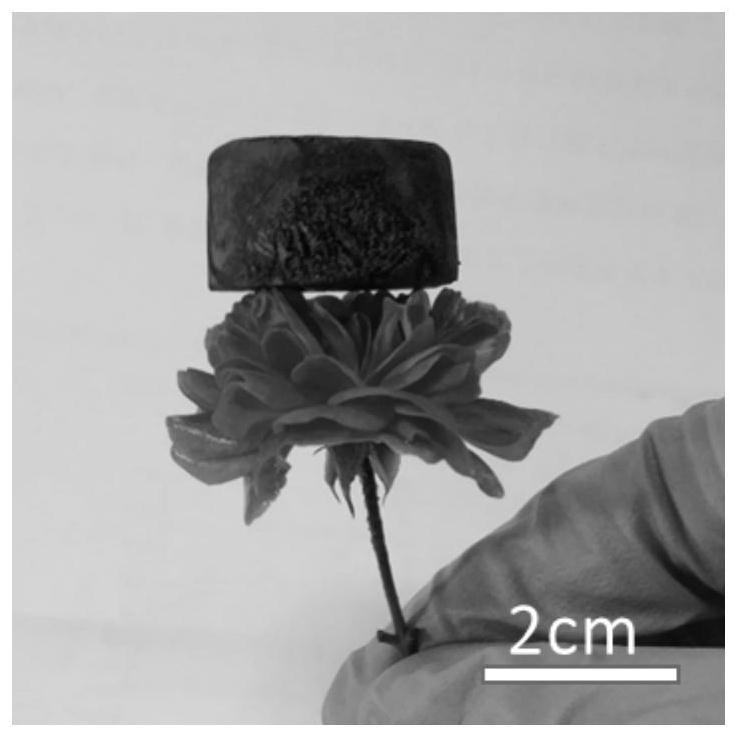 A two-dimensional transition metal carbide (nitride) compound airgel and its preparation method and application