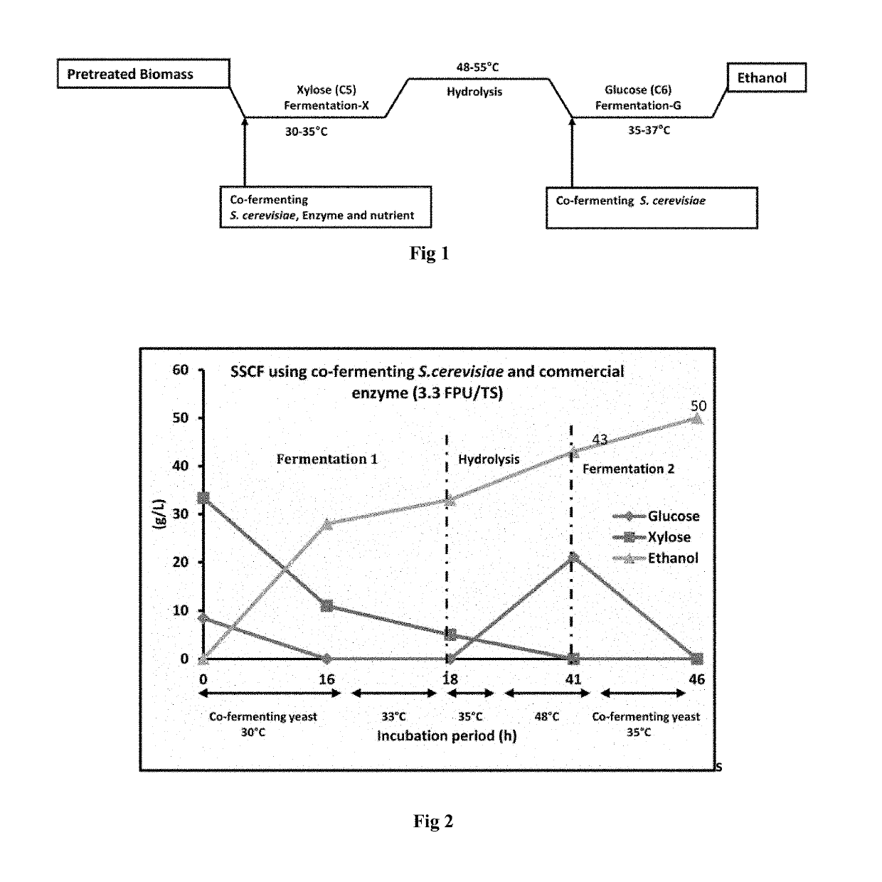 Method for second generation ethanol production from lignocellulosic biomass