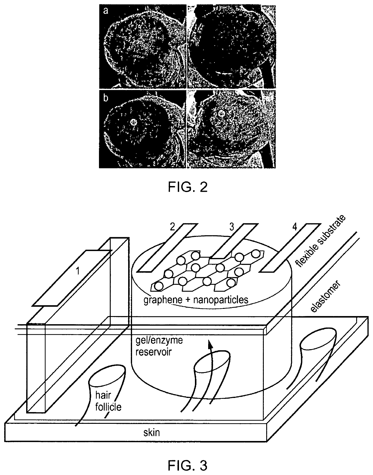 Multiplexed transdermal extraction and detection devices for non-invasive monitoring of substances and methods of use