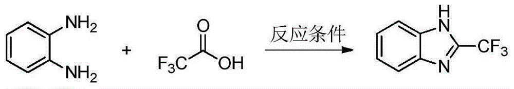 2-trifluoromethyl benzimidazole compound and preparation method thereof