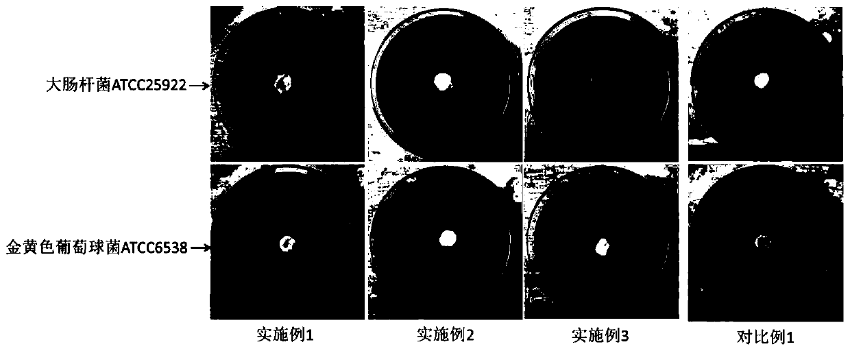 Tussah silk fibroin hydrogel as well as preparation method and application thereof