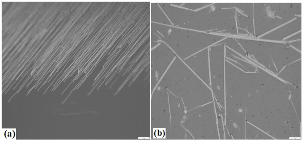 Directional growth GeSe2 nanowire and preparation method thereof