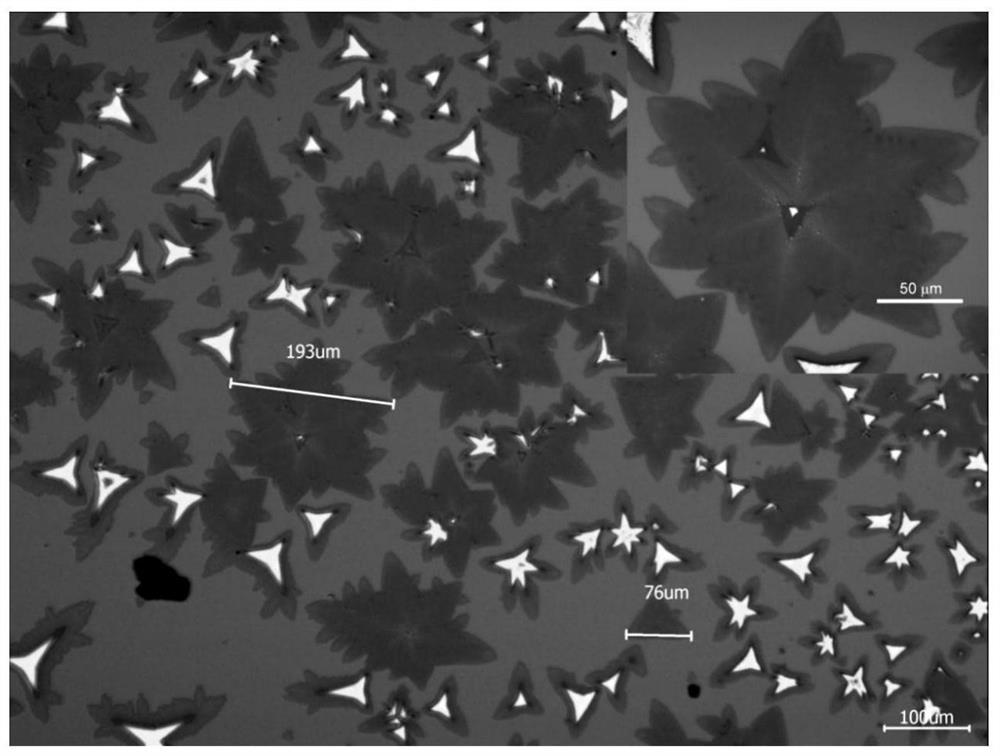 A petal-shaped molybdenum disulfide two-dimensional crystal material and its preparation method and application