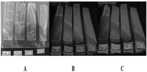 Preparation method and application of biodegradable rare earth fluorescent film