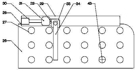 Automatic device capable of collecting leaves for municipal use