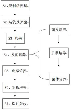 A kind of cultivation method of mushroom