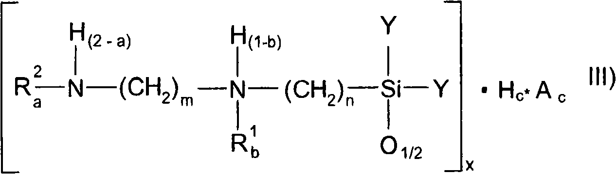 Amido functional group polysiloxane and composition based on the same