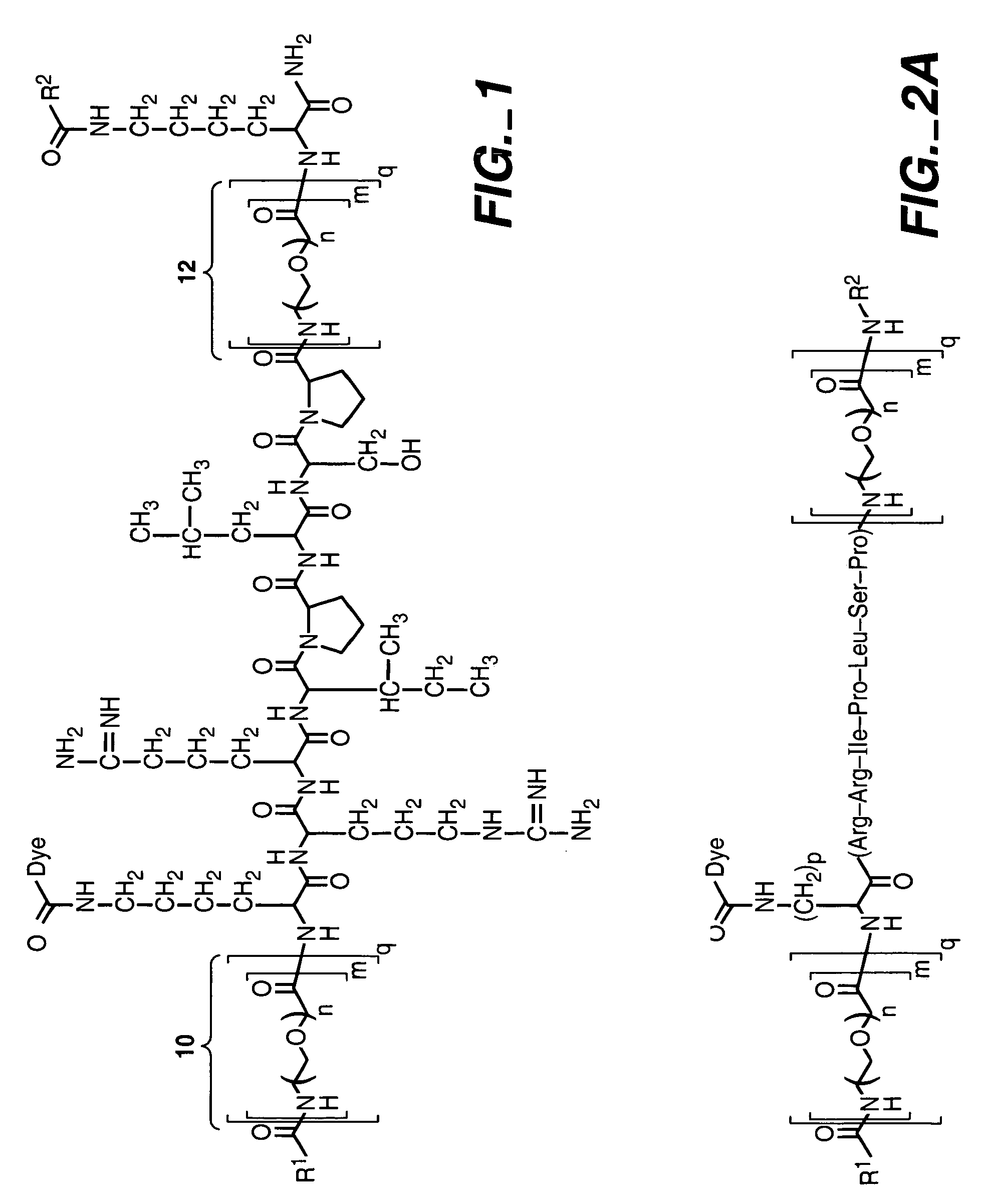 Fluorogenic kinase assays and substrates