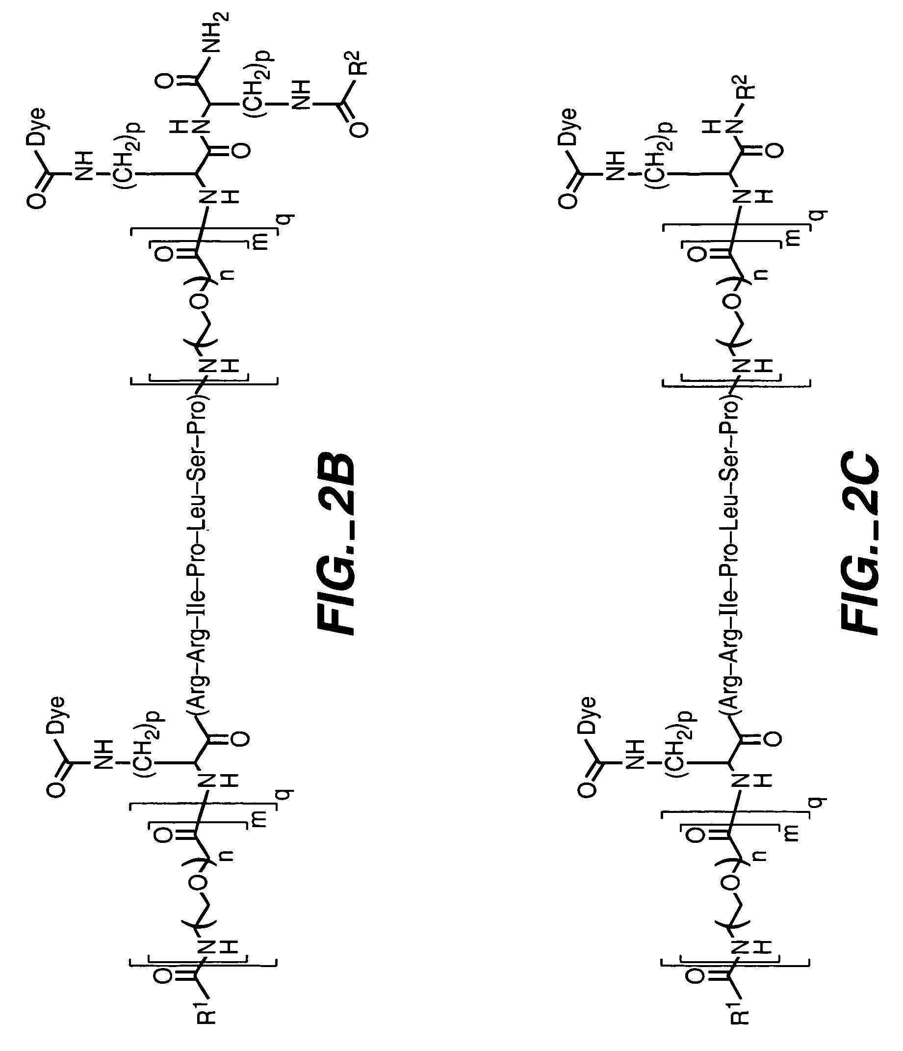Fluorogenic kinase assays and substrates