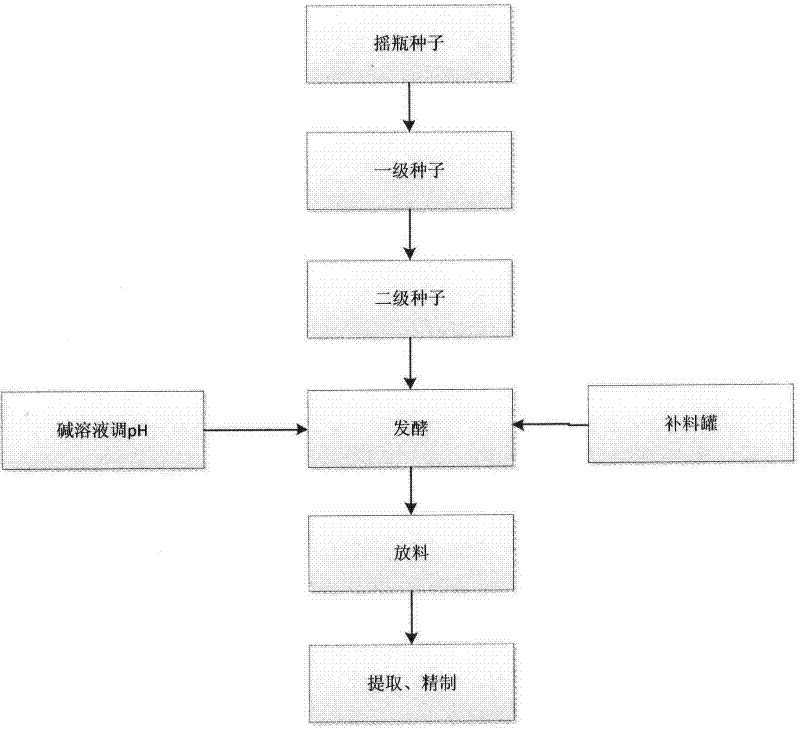 Method for producing nisin by continuous fermentation