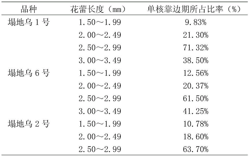 Method for improving microspore embryogenic rate of wuta-tsai