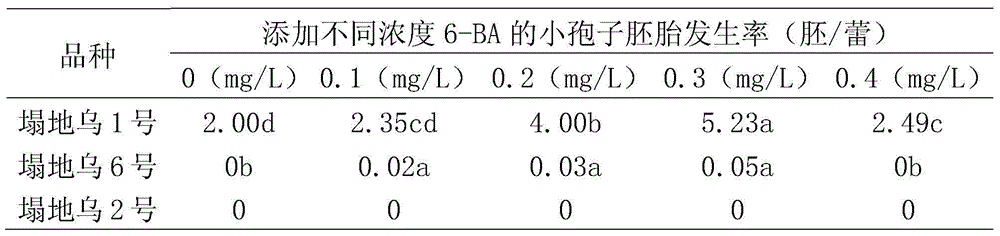 Method for improving microspore embryogenic rate of wuta-tsai