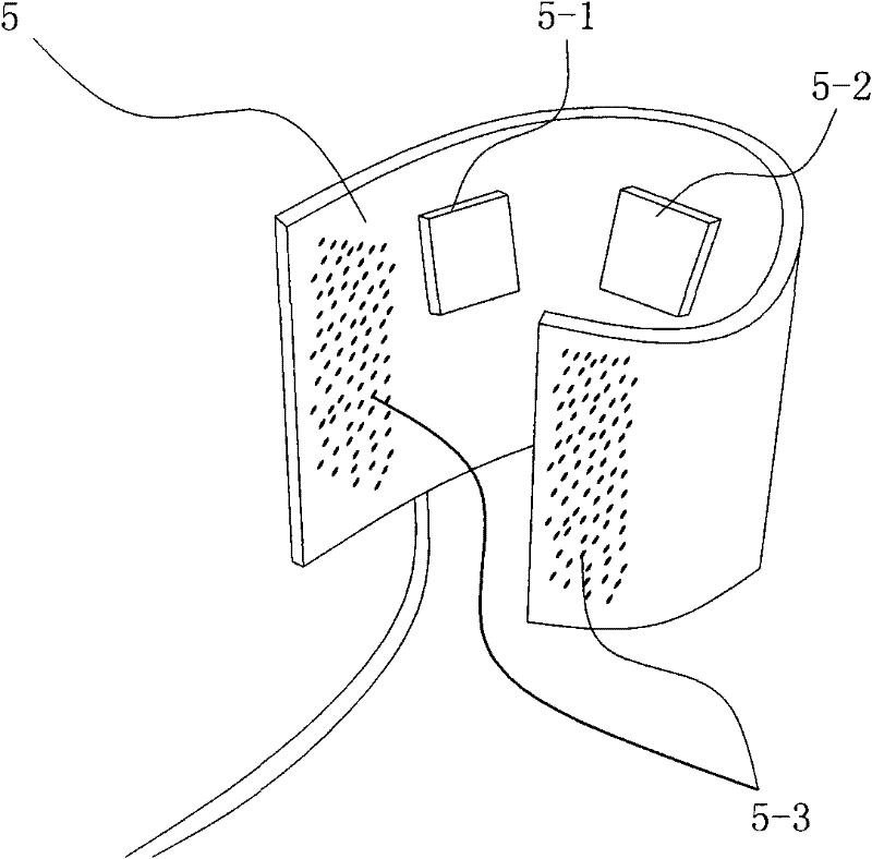 Anti-cerebral hemorrhage sudden death travel shoes and using method thereof